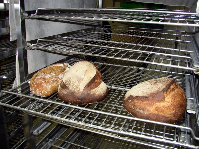 2011 09 24 Sortie ferme de la Budinerie 13